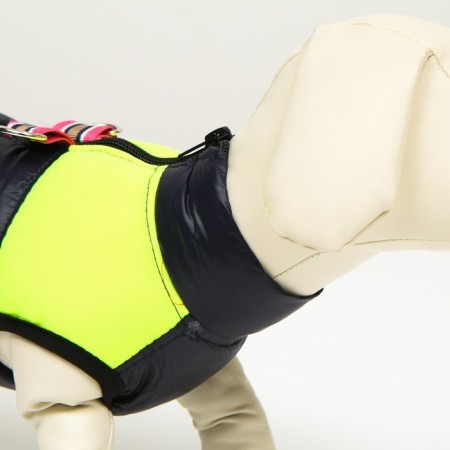 Lightning dog jacket, size 8 (ds 23 cm, og 30, Osh 22 cm), blue with yellow-4
