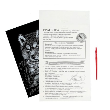 Engraving "Puppy Husky" with a metallic effect "silver" A4-4