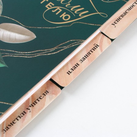 A journal of performance for a year for a teacher, A5 format, 80 sheets, soft cover "Golden Teacher"-2