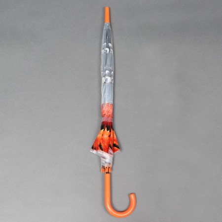 Umbrella - a semi -automatic cane "Seasons", 8 spokes, r = 40 cm, color mix-8