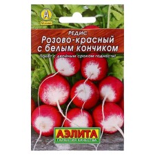 Seeds Radis 