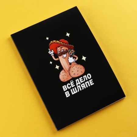 Diary A5, 80 L "Case in the Hat" 18+-1