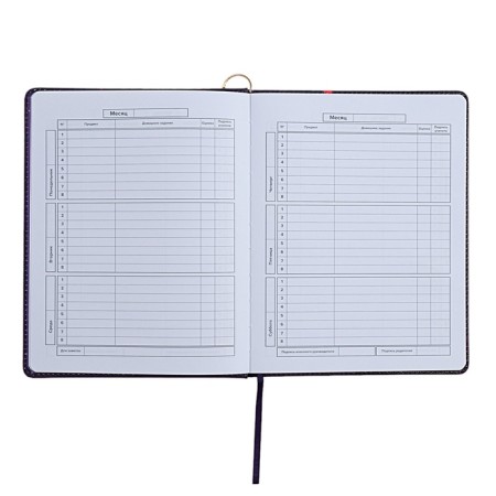 Universal Diary Grade 1-11, 48 sheets "Magic Cat", a solid cover of artificial leather, lies, universal cheat sheet, block 80 g/m2-10