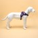 Shleka K7 soft reflective, size l, og 64-86 cm, weight 18-27.5 kg, purple