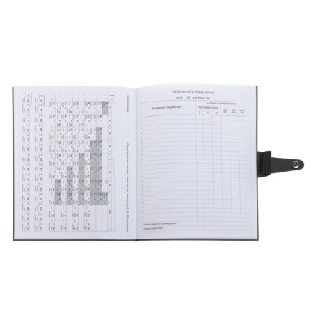 Universal diary for grades 1-11 Favorite, integrated artificial leather cover on the button, embossing foil, liesse, 48 sheets-17