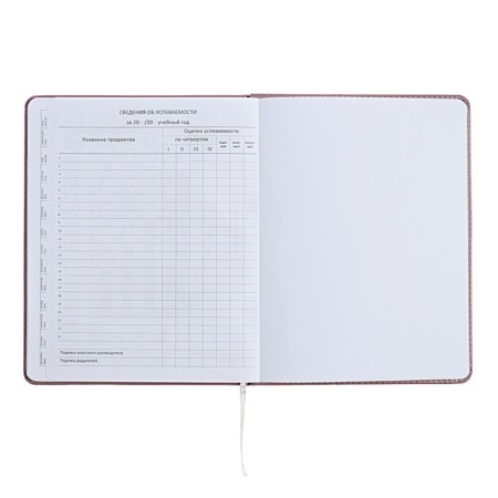 Universal diary for grade 1-11 No Comment, solid cover, artificial leather, foam rubber, silk-screen printing, liesse, 80 g/m2-11