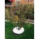 Garden plastic curb, 38 mm, black, 10 m + 30 stakes, "mango