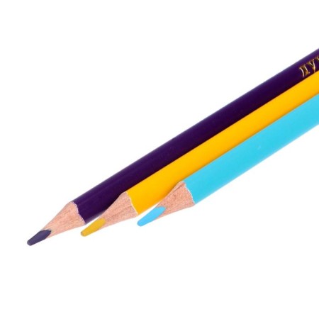 Color pencils 24 colors "School of Creativity", three -sided-4