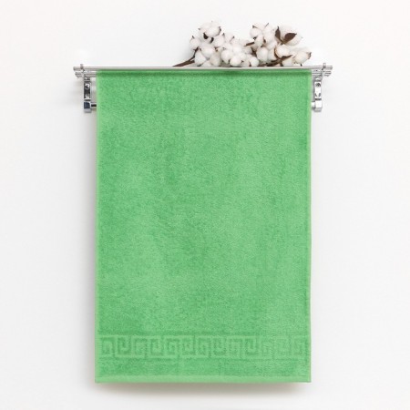 Terry towel with a border 70x140 cm, classic green, cotton 100%, 430g/m2
