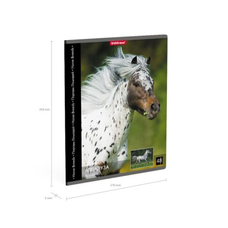 Notebook of 48 sheets in the Erichkrause "horse", cover coated cardboard, offset block 100% whiteness, mix-8
