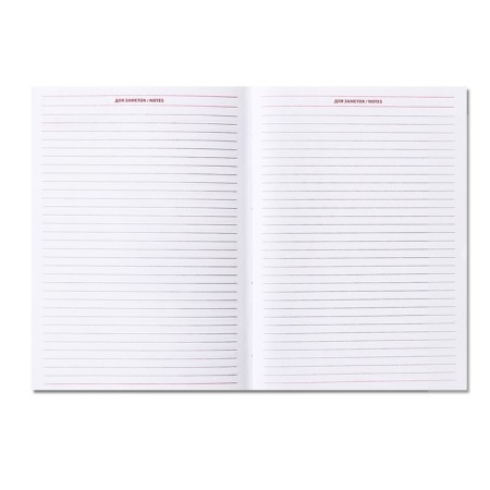 Diary of Leduced A5, 160 sheets of Nebraska, covering artificial leather, corner perforation, blue-10