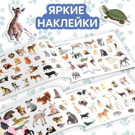 Book with stickers "Little animals", 100 stickers-2
