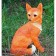 Garden figure "Fox sitting" 19x27x37cm