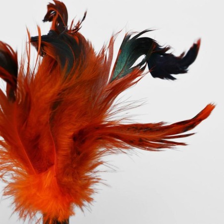 Non-toy for cats with feathers, mix of flowers-1