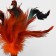Non-toy for cats with feathers, mix of flowers
