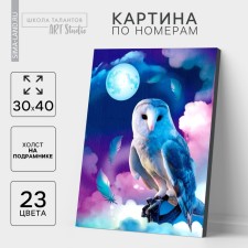 Picture on numbers on a canvas with a subframe 