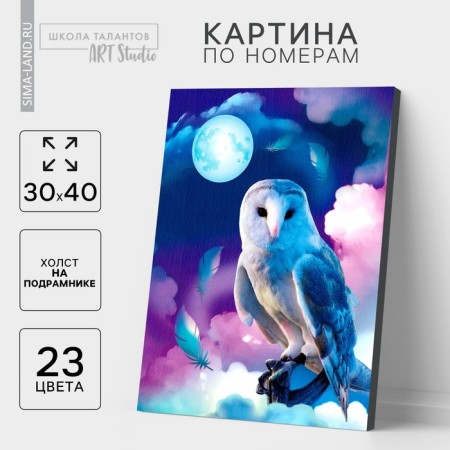 Picture on numbers on a canvas with a subframe "Fairytale Owl", 30x40 cm