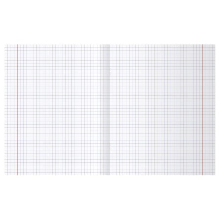 A4 notebook, 48 sheets in the Magnificent World cage, covered cartoon, matte lamination, foil embossing, offset unit, mix-1