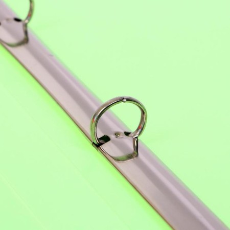 Folder on 4 rings A4, Calligrata, 18 mm, 500 microns, salad-1