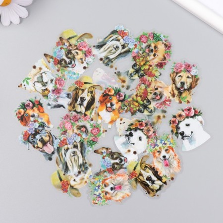 Stickers for creativity "dogs and flowers" set of 30 pcs 0.7x9x8.5 cm