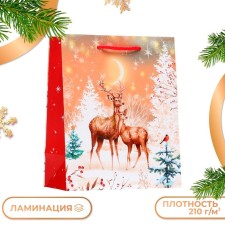 Gift package 