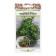 Seeds Timyan Tybraz "Honey Aroma", series Russian garden, 0.05 g