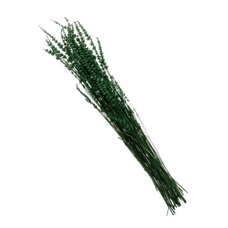 Sukhotzet "narrow -leaved lavender", green, 50 -100 g in packaging-2