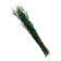 Sukhotzet "narrow -leaved lavender", green, 50 -100 g in packaging