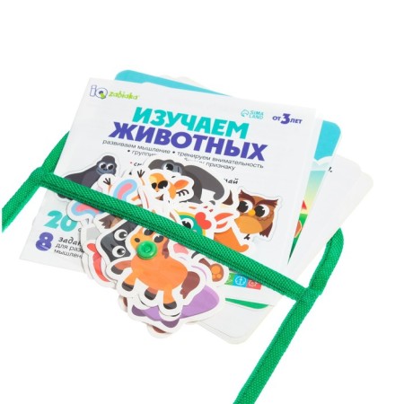 Developing set of "studying animals"-1