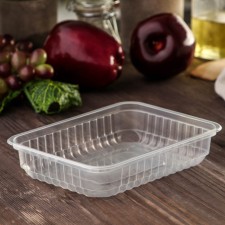 Container Plastic disposable 