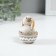 Polystone souvenir "Chicken in a shell" 5x4.5x6.5 cm