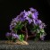 Artificial Aquarium plant, 11 x 21 cm