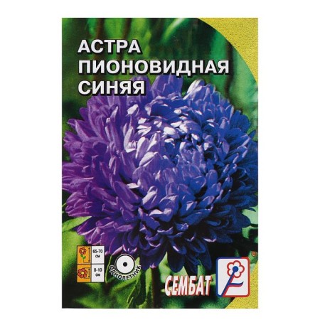 Flower seeds Astra Pionovid, blue, 0, 2 g