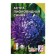 Flower seeds Astra Pionovid, blue, 0, 2 g