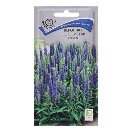 Seeds of Veronika Color "Colos" Blue ", 0.1 g.