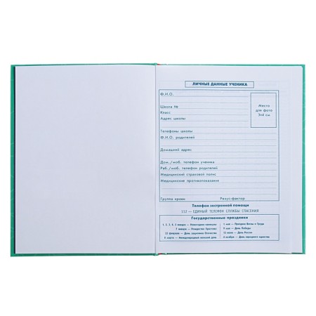 Diary for grades 1-4, 48 sheets "cat pranks", hard cover, glossy lamination, foil embossing-4