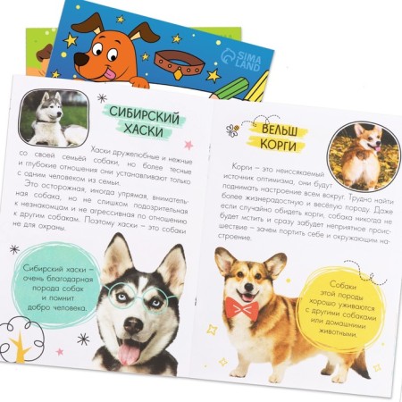 Set 3 in 1 "best friend", 3 books, puzzle, toy-4