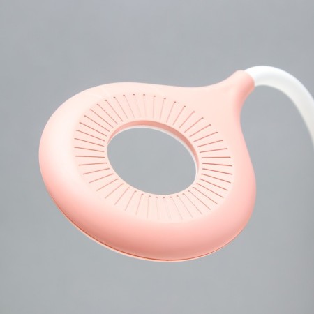 Board lamp with a nightmare "Princess" LED 3000K-6000K 5W USB AKB pink 14x14x44cm Risalux 9413-13