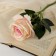 Artificial flowers "Venezuela rose" 8x23 cm, peach