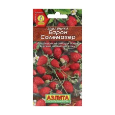 Strawberry seeds 
