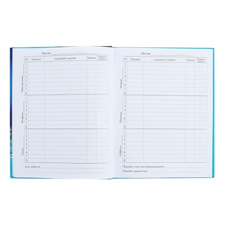 Universal diary for grades 1-11 Northern Lights, hard cover, holography, 40 sheets-6