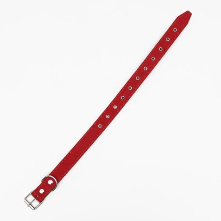 Collar combined leather/tarpaulin, dimensionless, 70 x 3.5 cm, Osh 25-60 cm, red-2