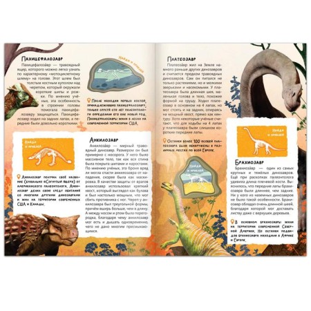Book with stickers "In the world of dinosaurs", 16 p.-1