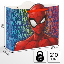 Gift package, 40x31x11.5 cm, packaging, spider-man