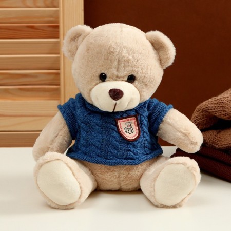 Soft toy "Bear" in a sweater, 25 cm, color mix-1
