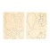Application with plasticine for girls