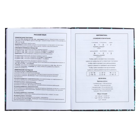 Universal Diary Grade 1-11, 48 sheets "Monster Call", integral cover, matte lamination, selective UV-fluid, congructor-10