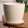 Pot Flower Nest White Crocus No. 3, 2.3 L, D - 17.7 cm