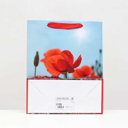 Laminated "Red Macs" 26x32x12 package-1