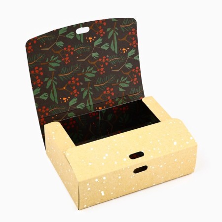 Box folding double -sided "New Year's botanist", 16.5 x 12.5 x 5 cm, without tape, New Year-2